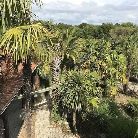 Villa Site Exceptionnel Propriete Dans Parc Arbore De 8 Hectares *
