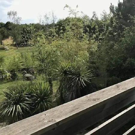 Site Exceptionnel Propriete Dans Parc Arbore De 8 Hectares Dolus-d'Oleron