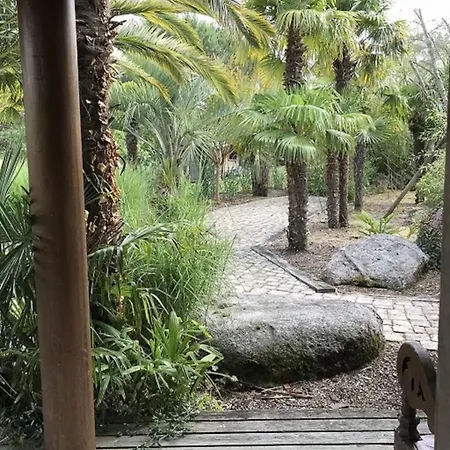 Villa Site Exceptionnel Propriete Dans Parc Arbore De 8 Hectares Dolus d'Oléron