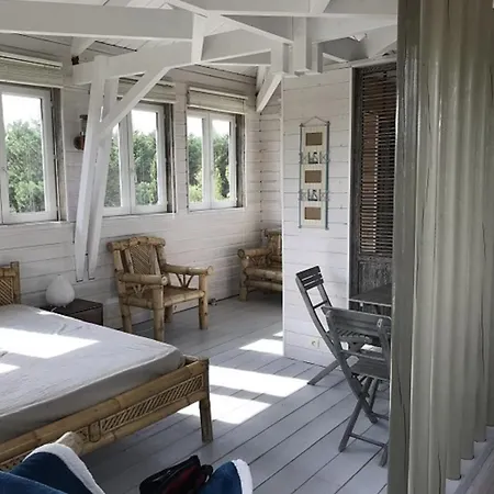 Villa Site Exceptionnel Propriete Dans Parc Arbore De 8 Hectares